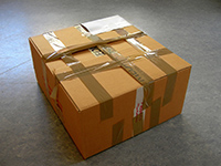 holiday crime prevention